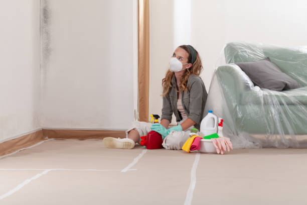 Reliable Mold Remediation contractor in Robbinsville, NJ by Cheap Mold Removal